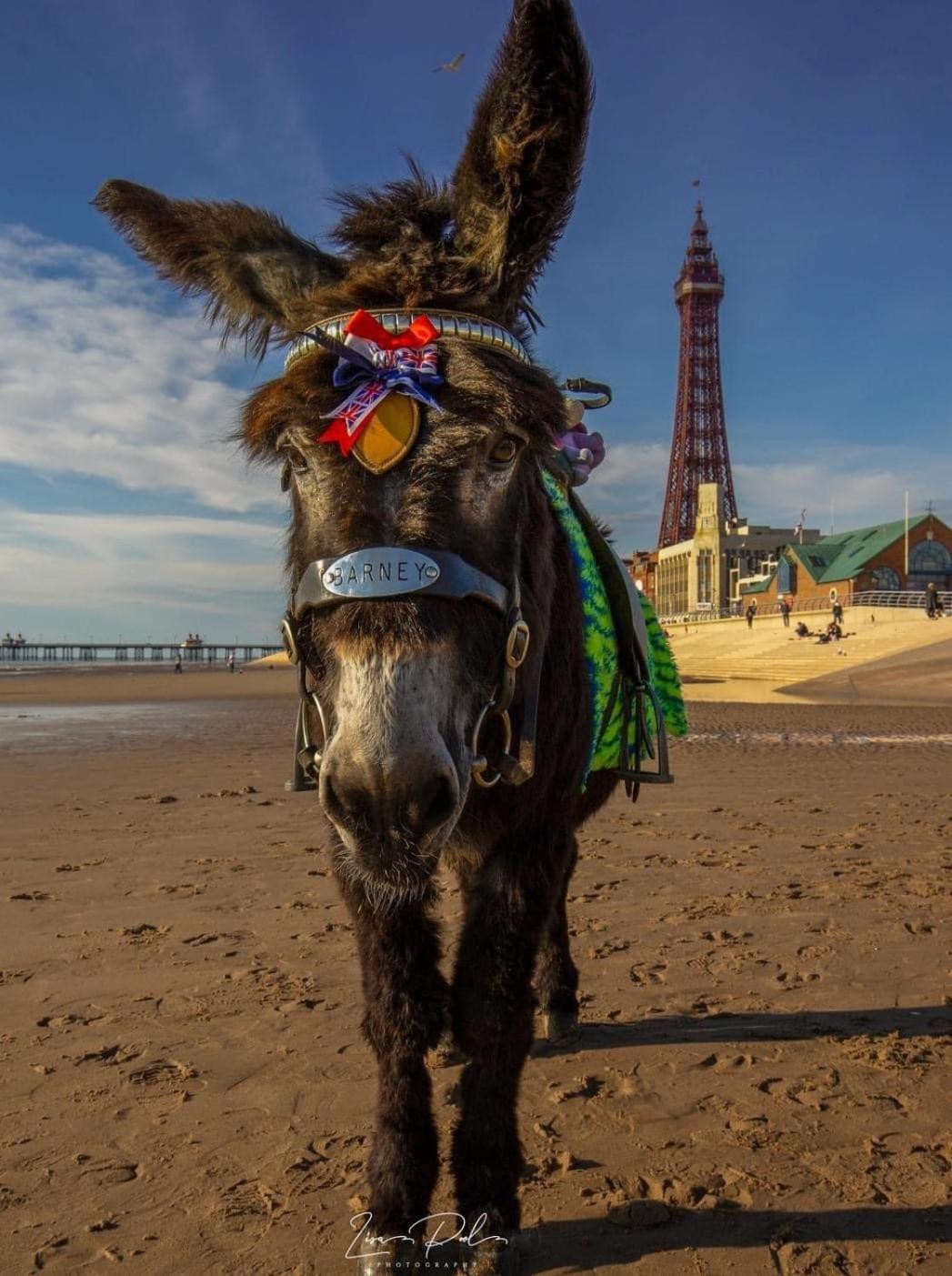 The Bailey Hotel Blackpool (Adults Only) Eksteriør bilde